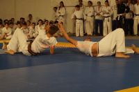 KARATE (84)